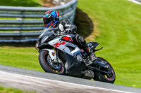 PJ-Motorsport-2019;anglesey;brands-hatch;cadwell-park;croft;donington-park;enduro-digital-images;event-digital-images;eventdigitalimages;mallory;no-limits;oulton-park;peter-wileman-photography;racing-digital-images;silverstone;snetterton;trackday-digital-images;trackday-photos;vmcc-banbury-run;welsh-2-day-enduro